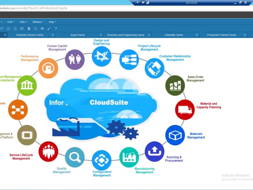 Infor ESG