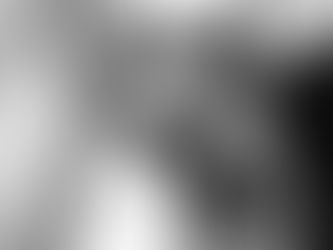 Why Horses Make the Best Partners for Therapy: A Look at Their Nature and History