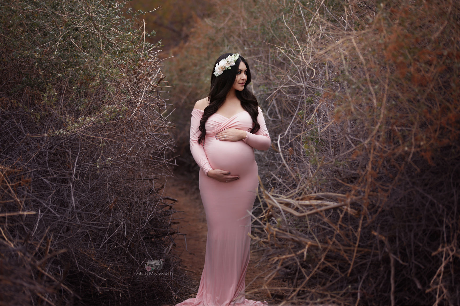 maternity photographer Las Vegas