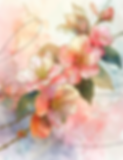 Apple Blossom - SAMPLE.png