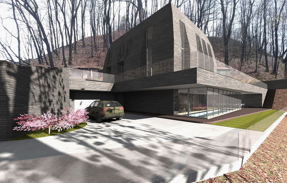 architect Laurynas Zakevicius