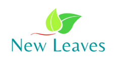 Transparent logo.png