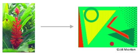 Natural Colour Scheme