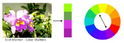 Complementary colour harmony