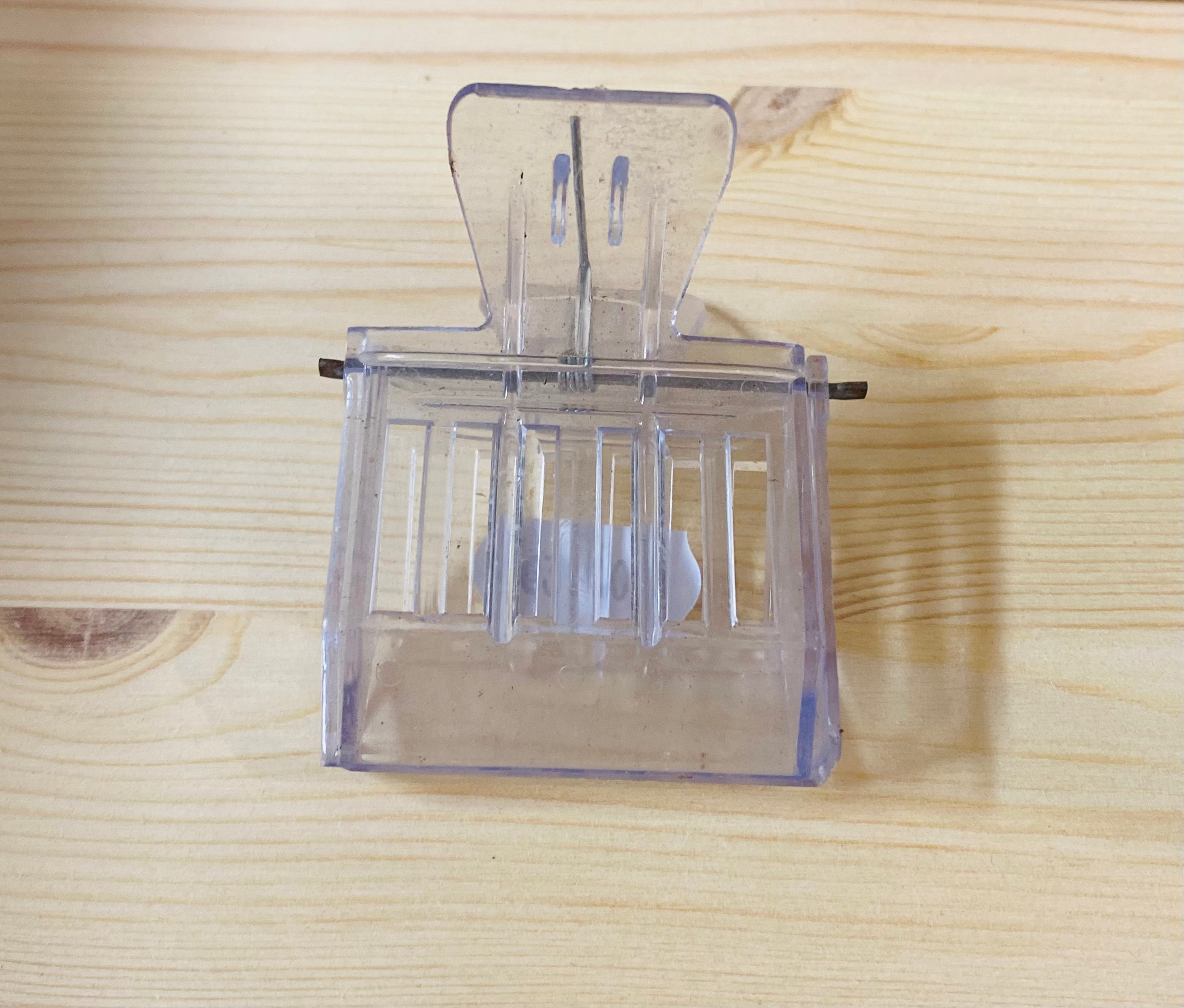 Queen Catcher - Clip