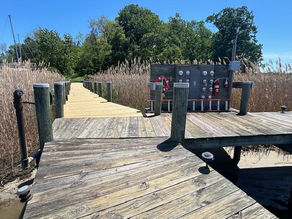 A new stretch of wooden dock between the reeds