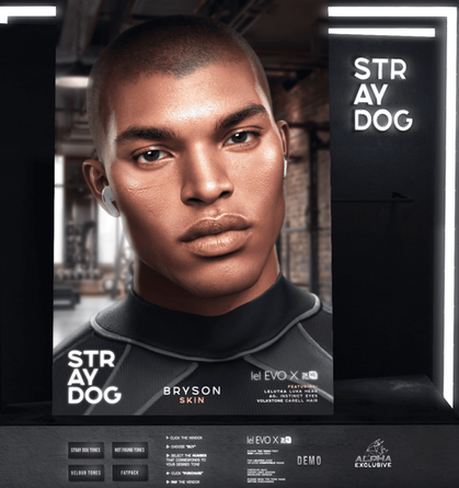 STRAYDOG
