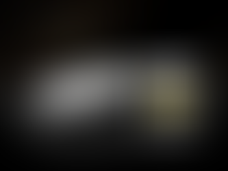 THE WORLD’S FASTEST CFEXPRESS TYPE A