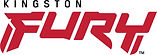 Kingston-FURY-logo-2021-PMS.jpg