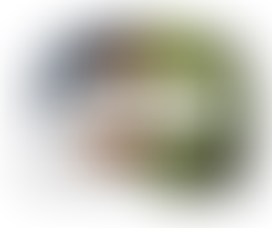 The Gut-Brain Link: The Role of Fibre in Mental Health