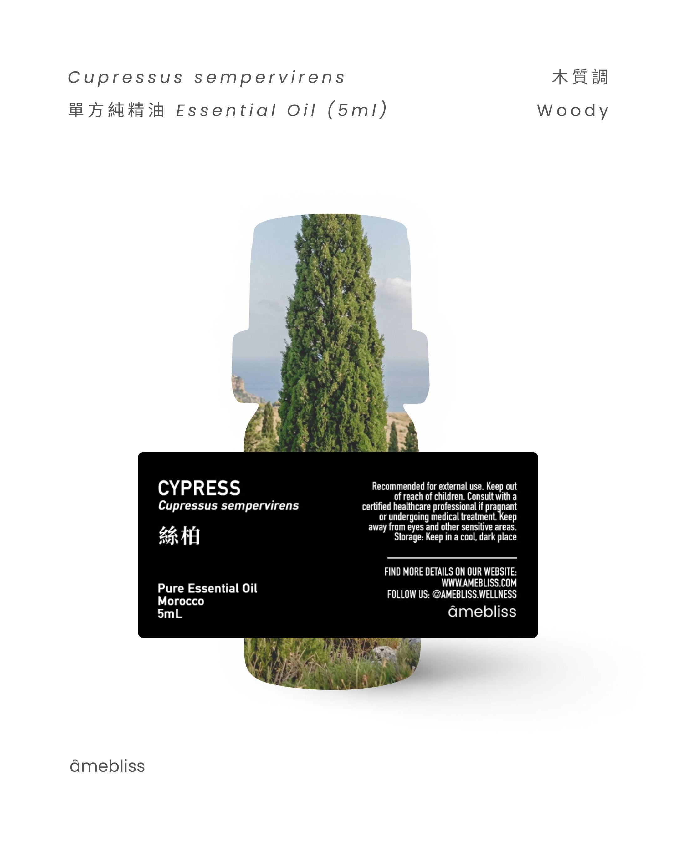 絲柏精油 Cypress (Cupressus sempervirens)|100% 純單方精油 5ml |by âmebliss
