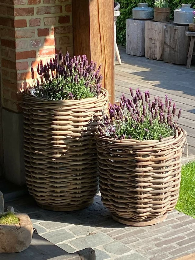 Übertöpfe geflochten Garten Terrasse