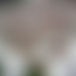 Wreaths Across America On-Air