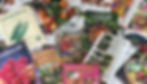 Seed Catalogue pic.jpg