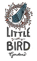 LITTLEBIRD3Web.jpg