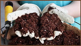 coir pic.webp