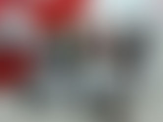 Our Champions shone like a million stars