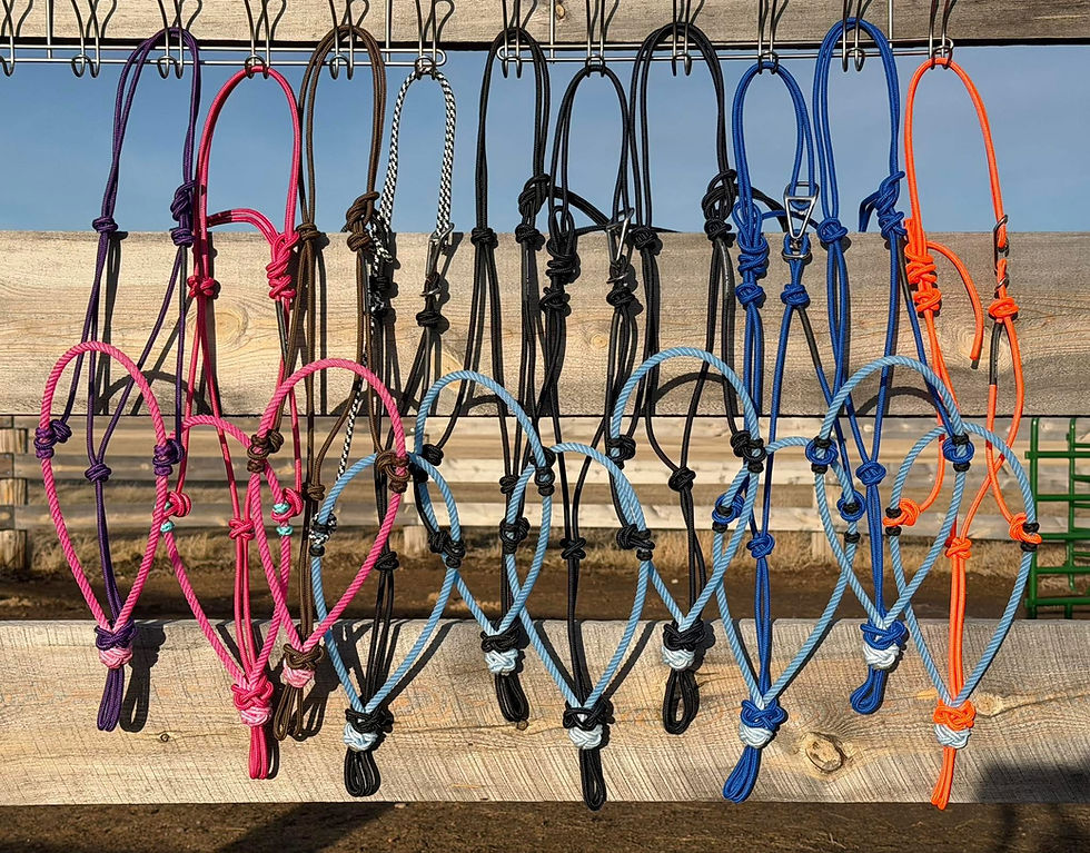 Rope Halter Tying for Beginners