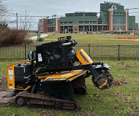 Stump grinding near Lambeau Field in Green Bay, WI.