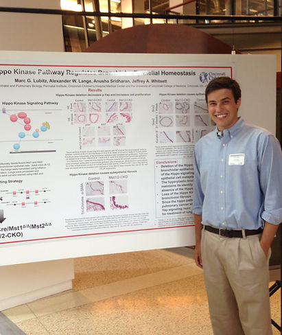 Dr. Marc Lubitz presenting research on lung development at Cincinnati Children's Hospital