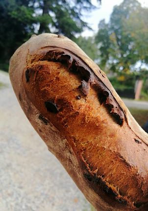 pain aux olives.png