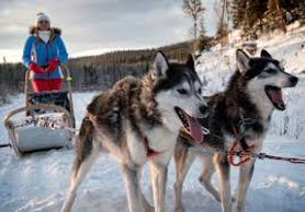 Åre Nature Adventures - Hundspann