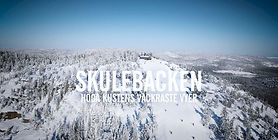 Skulebacken - skidområde