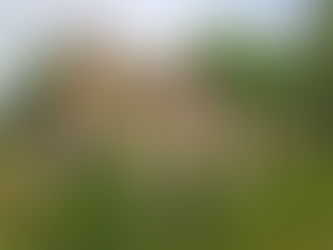 Chemin faisant ... Itinéraire landart et découvertes de l’environnement dans la plaine de l’Abbaye