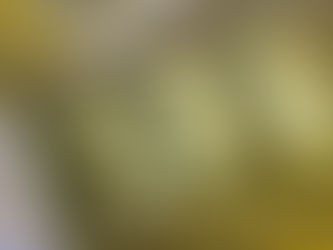 Exposition de David TRESMONTANT, artiste, ancien Président et membre de Vivre la Plaine de l'Abbaye