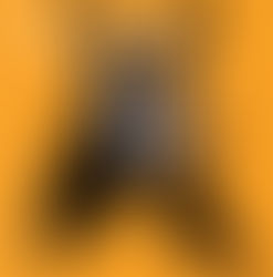 Samedi 10 JUILLET 10h - Maison de la Presse place Jean Jaurès, Villeneuve