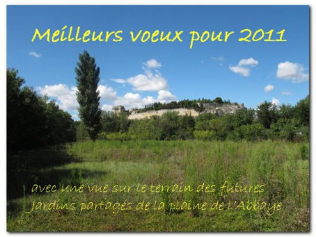 Meilleurs voeux pour l’année 2011 dans la plaine de l’Abbaye et ailleurs