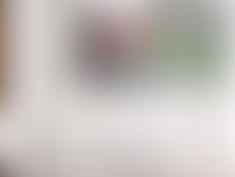 Article de La Provence - L'association inquiète pour le PLU - 7 nov 2019