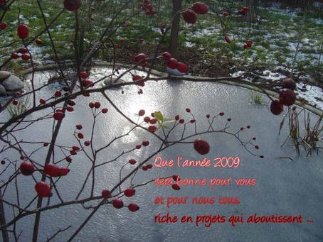 Nos voeux pour la nouvelle année