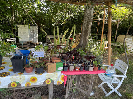       Retour sur la bourse aux plantes                       