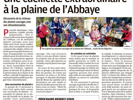 Article La Provence 26/02/2020