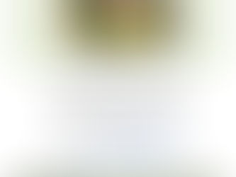 Sortie Cueillette de salades sauvages dans la Plaine le 22 février 2020