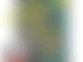 La Plaine de l'Abbaye, un paysage né de l'eau : 21 mars 2020