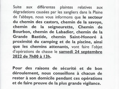 ATTENTION ! Battue aux sangliers dans la Plaine de l'Abbaye