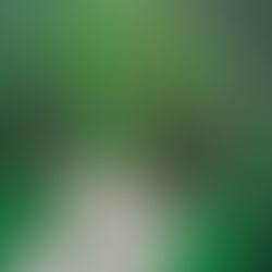 La marche du temps long, samedi 11 avril