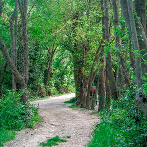 La marche du temps long, samedi 11 avril