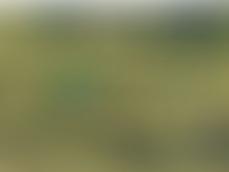 PIQUE-NIQUE ORGANISÉ PAR LE JARDIN EL MANANTIAL