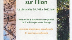 "La Ripisylve sur l’Îlon" 30 Septembre 2012