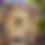 Thumbnail: Sakae Trilogy Drum Kit in Vintage Cream Oyster