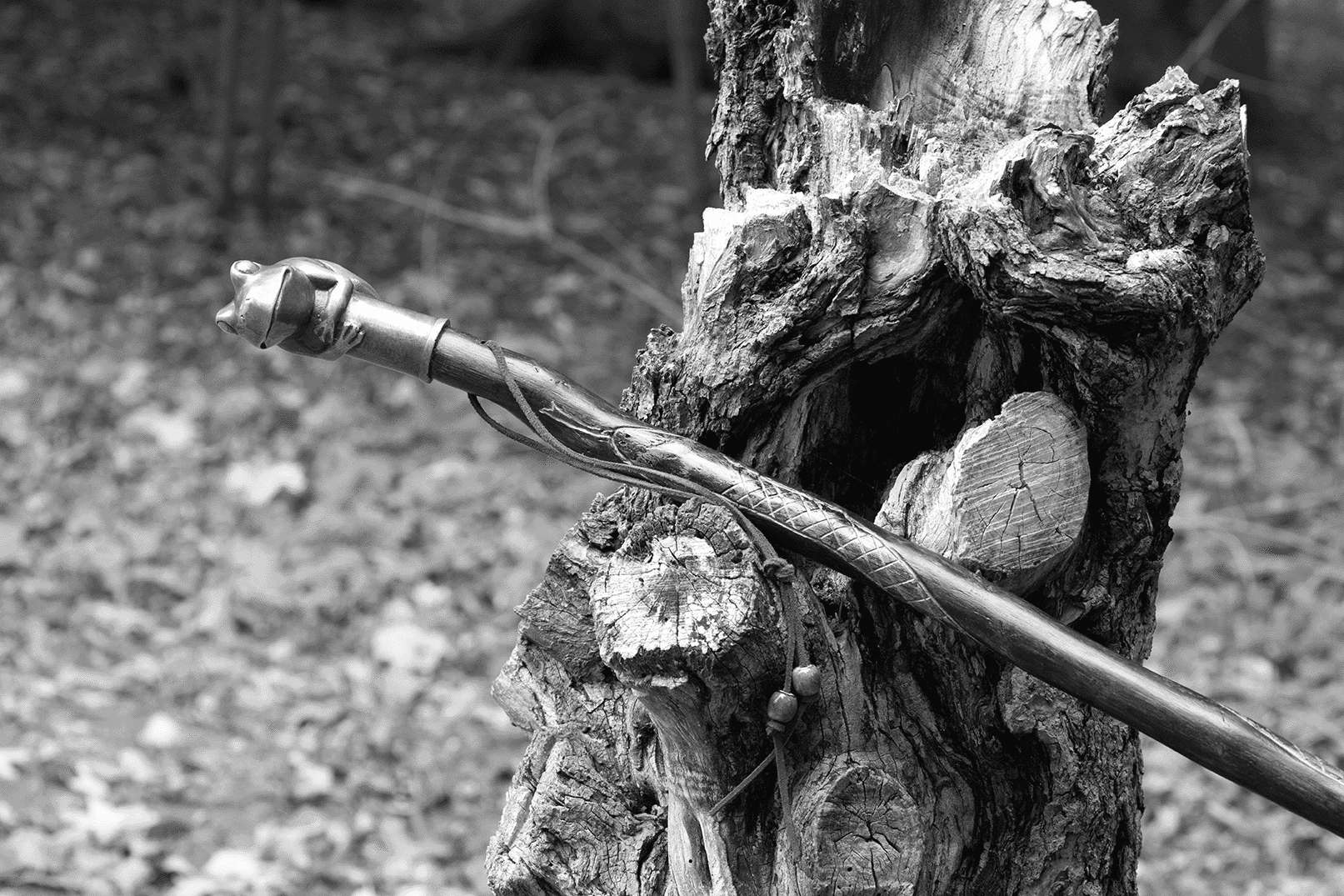 Frog and Snake Walking Stick