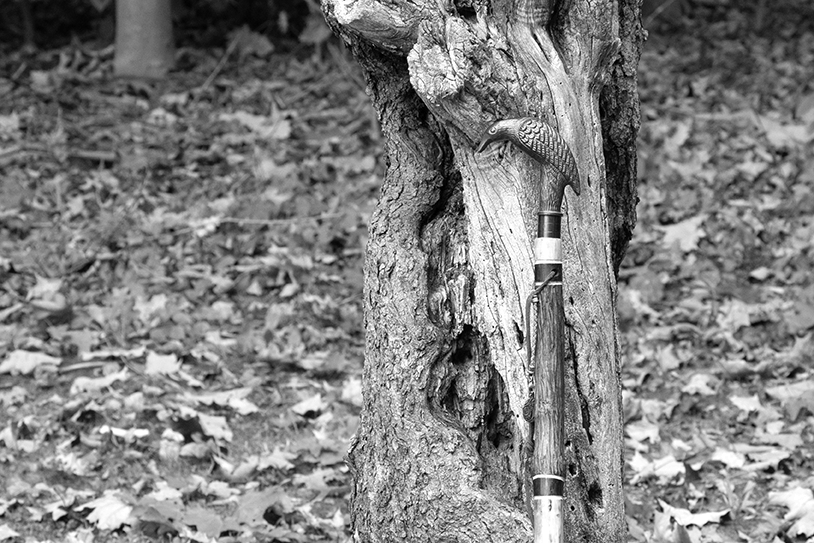 Corbie Crow Walking Stick