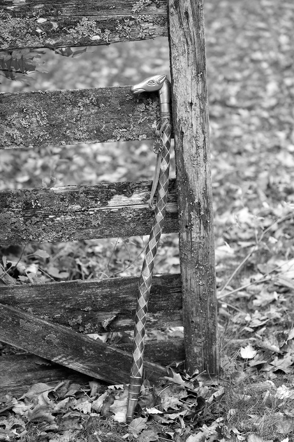 Distressed Harlequin Walking Stick