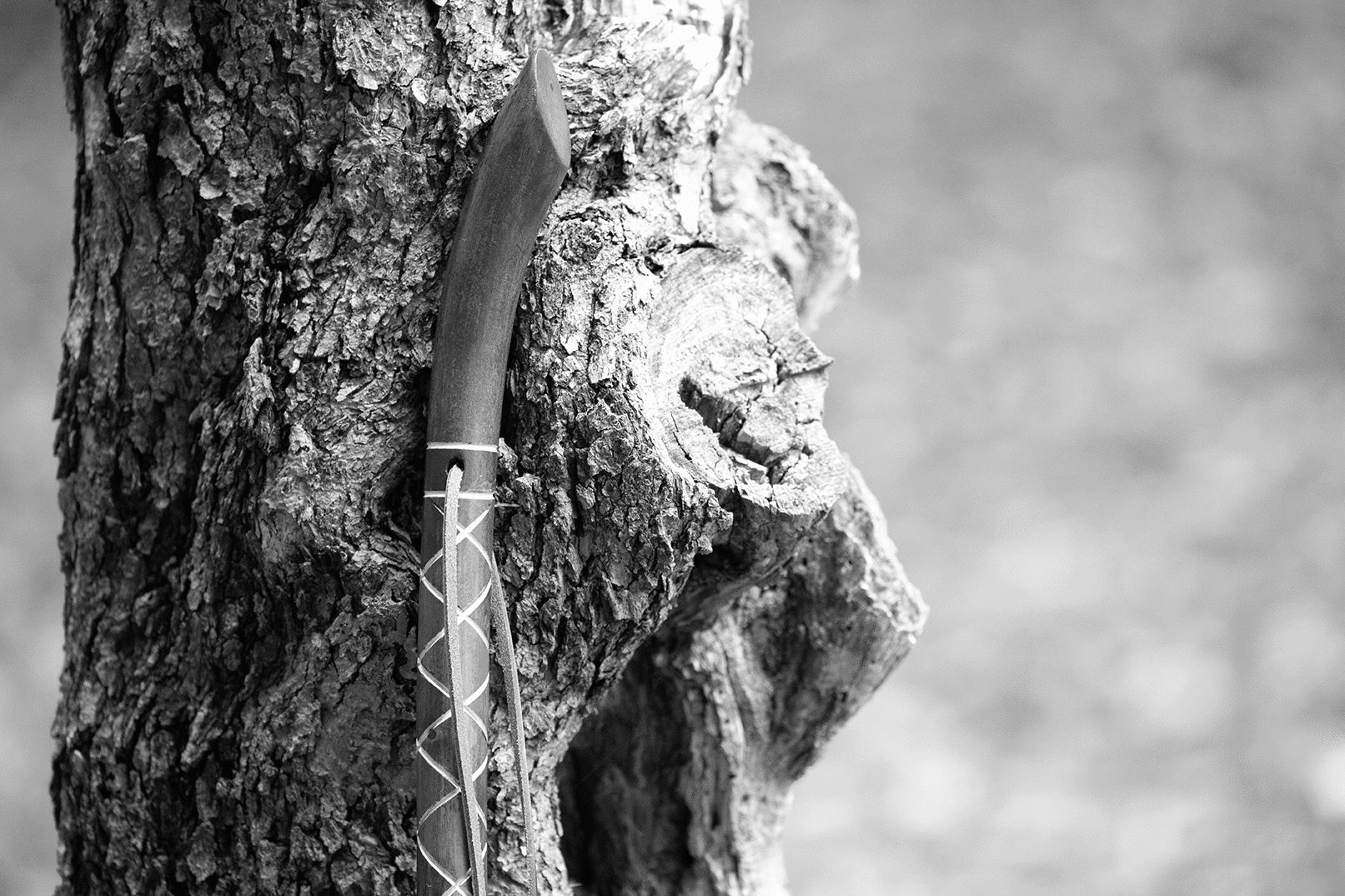 Distressed Harlequin Walking Stick