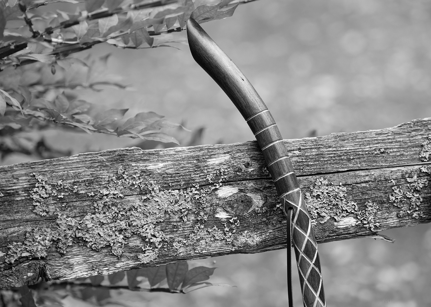 Distressed Harlequin Walking Stick