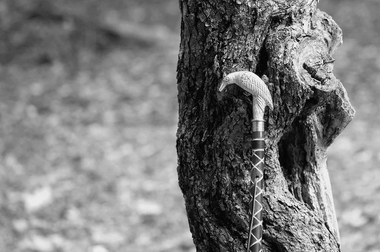 Distressed Harlequin Walking Stick
