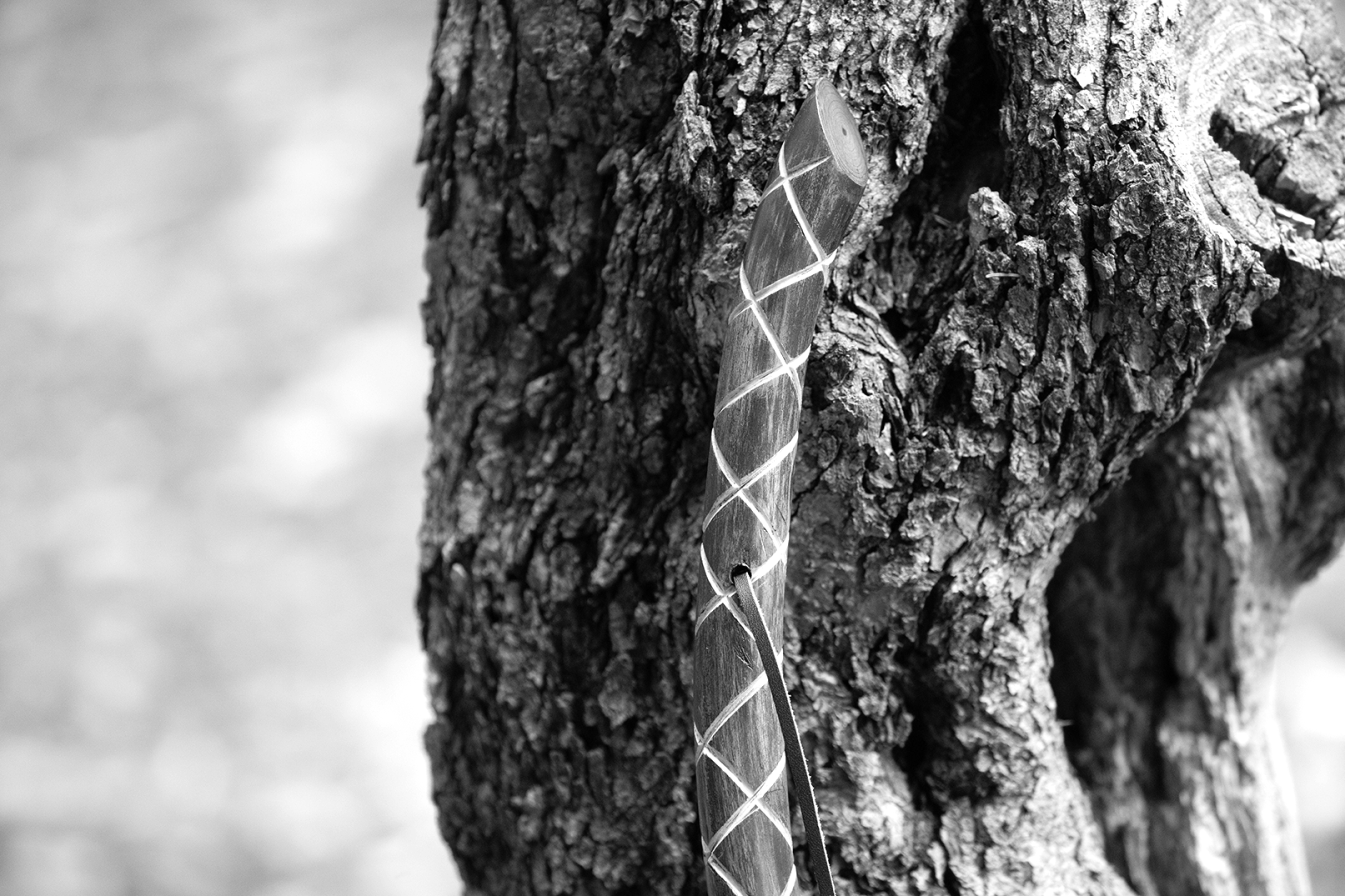 Distressed Harlequin Walking Stick